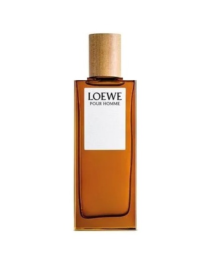 Imagen de referencia de Loewe Pour Homme