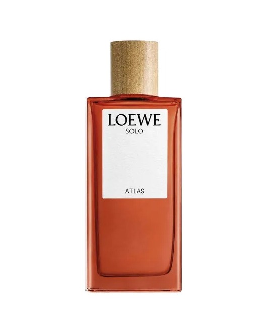 Imagen de referencia de Loewe Solo Atlas